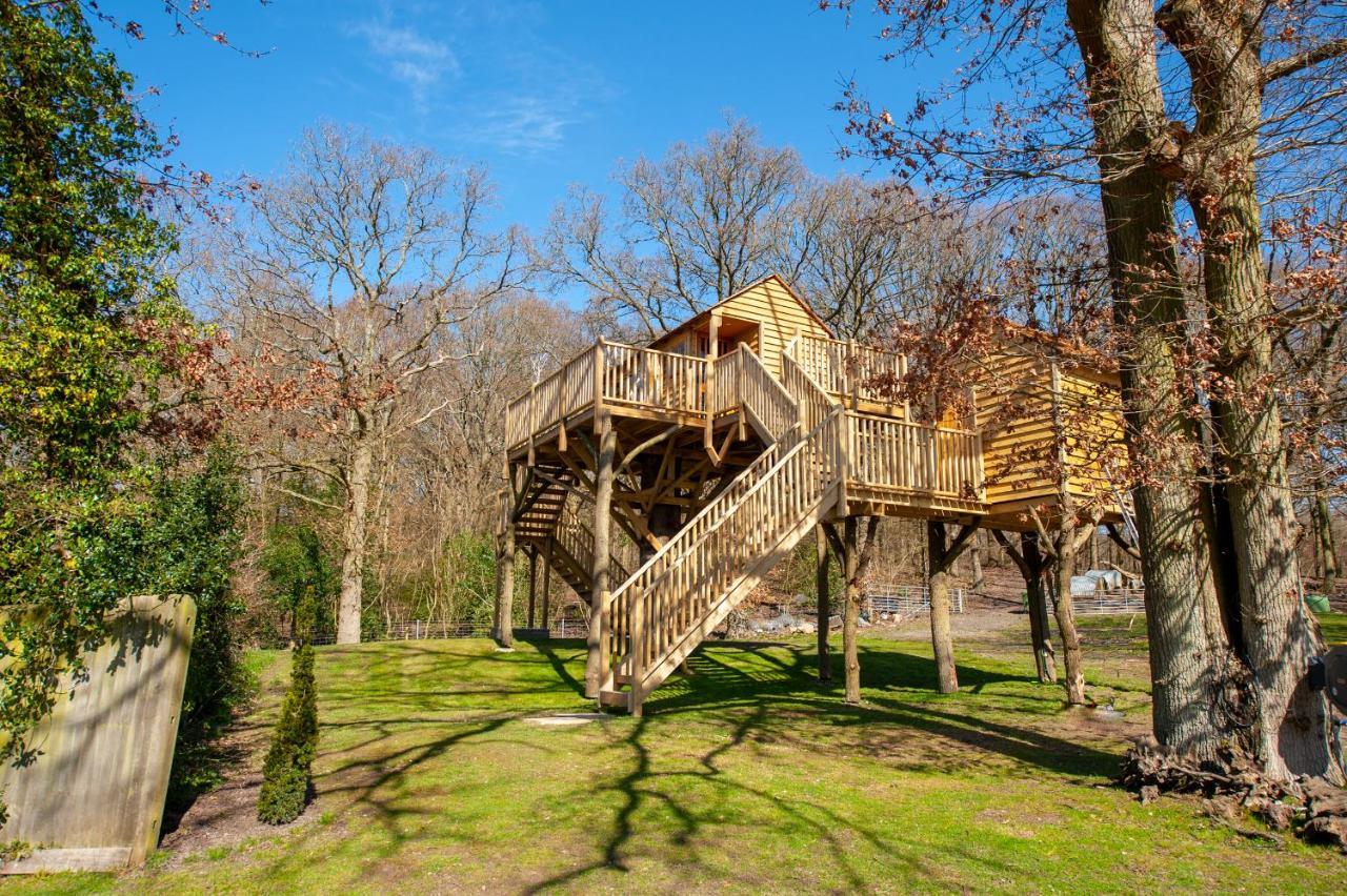 Oakside Tree Tops Canterbury Exterior photo